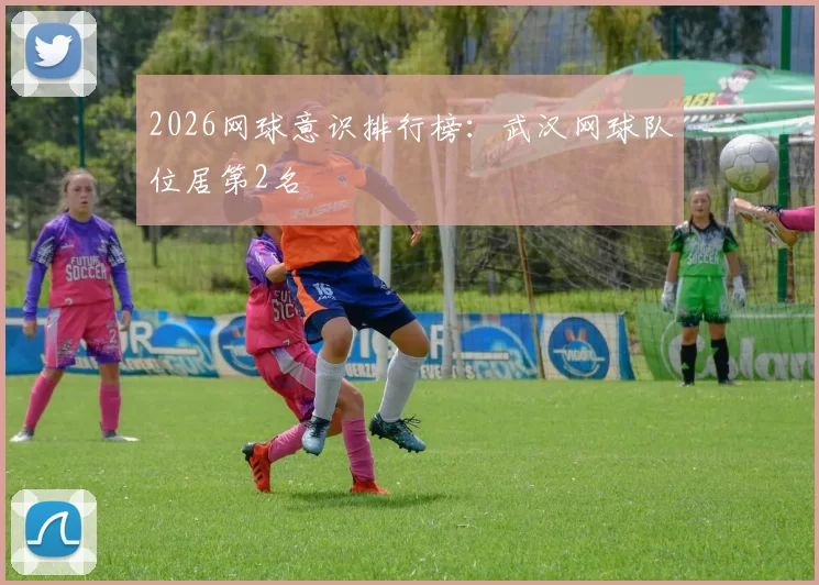 2026网球意识排行榜：武汉网球队位居第2名