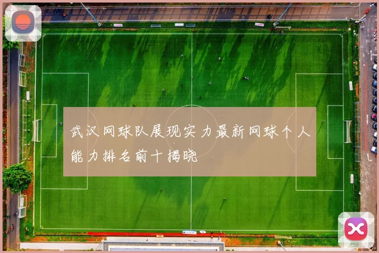 武汉网球队展现实力最新网球个人能力排名前十揭晓